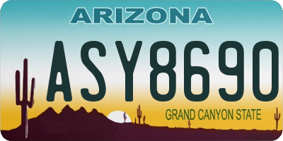 AZ license plate ASY8690