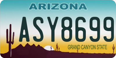 AZ license plate ASY8699