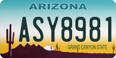 AZ license plate ASY8981