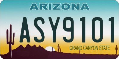 AZ license plate ASY9101