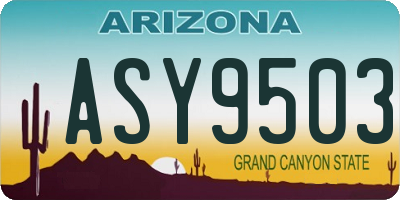 AZ license plate ASY9503