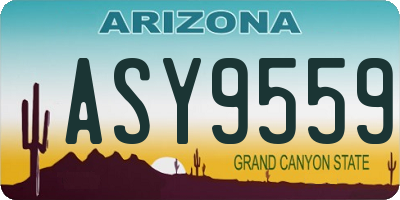 AZ license plate ASY9559