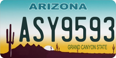 AZ license plate ASY9593