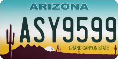 AZ license plate ASY9599