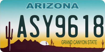 AZ license plate ASY9618