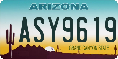 AZ license plate ASY9619