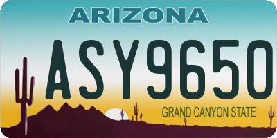 AZ license plate ASY9650