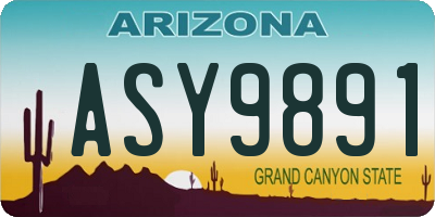 AZ license plate ASY9891