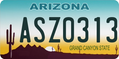 AZ license plate ASZ0313