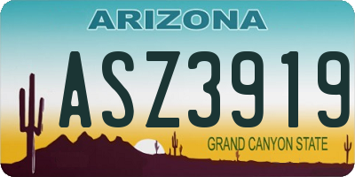 AZ license plate ASZ3919