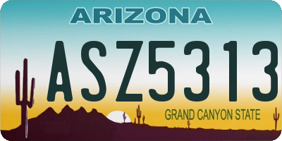 AZ license plate ASZ5313