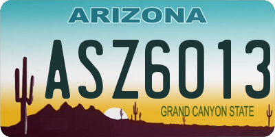 AZ license plate ASZ6013