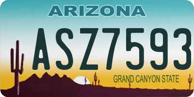 AZ license plate ASZ7593