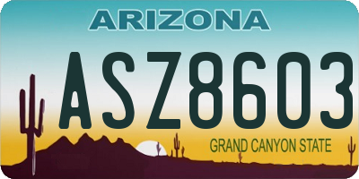 AZ license plate ASZ8603