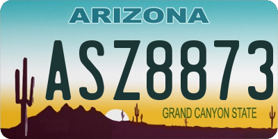 AZ license plate ASZ8873