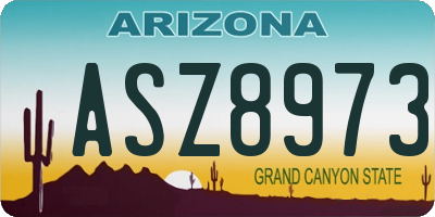 AZ license plate ASZ8973