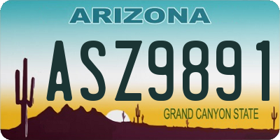 AZ license plate ASZ9891