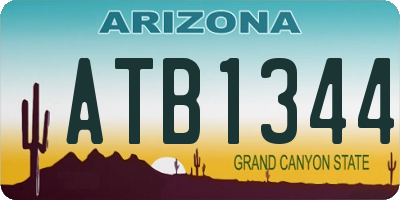 AZ license plate ATB1344