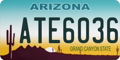 AZ license plate ATE6036