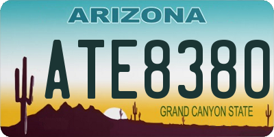 AZ license plate ATE8380
