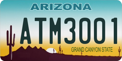 AZ license plate ATM3001