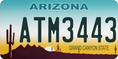 AZ license plate ATM3443