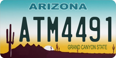 AZ license plate ATM4491
