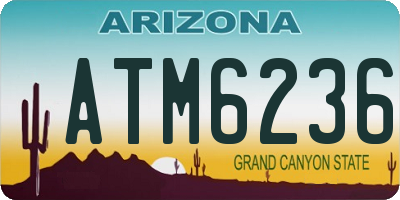 AZ license plate ATM6236