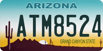 AZ license plate ATM8524