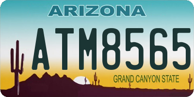 AZ license plate ATM8565