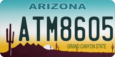AZ license plate ATM8605