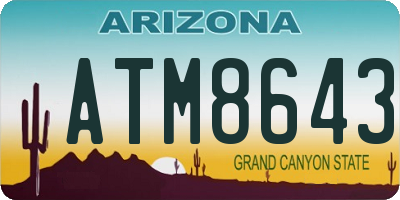 AZ license plate ATM8643
