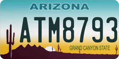 AZ license plate ATM8793