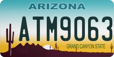 AZ license plate ATM9063