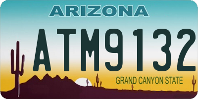 AZ license plate ATM9132