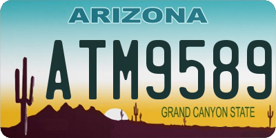 AZ license plate ATM9589