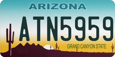 AZ license plate ATN5959