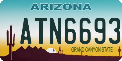 AZ license plate ATN6693