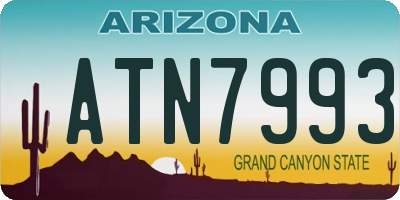 AZ license plate ATN7993