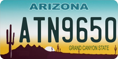 AZ license plate ATN9650