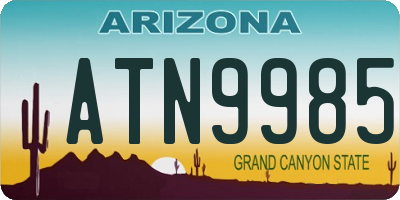 AZ license plate ATN9985