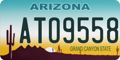 AZ license plate ATO9558