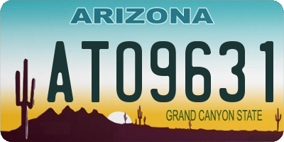 AZ license plate ATO9631