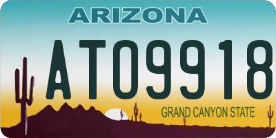 AZ license plate ATO9918