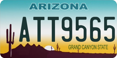 AZ license plate ATT9565