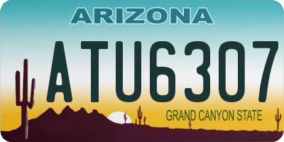 AZ license plate ATU6307
