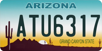 AZ license plate ATU6317