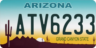 AZ license plate ATV6233