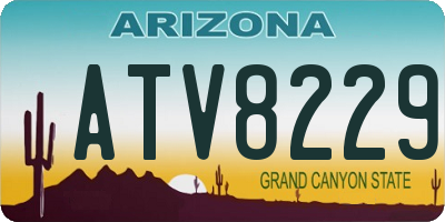 AZ license plate ATV8229