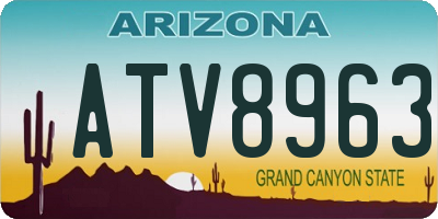 AZ license plate ATV8963